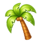 summer category